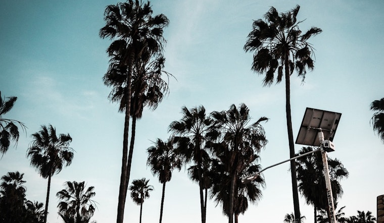 Wind Advisory in Effect for Los Angeles Area With Gusts Up to 50 MPH Expected