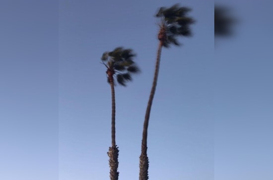Wind Advisory Issued for Los Angeles Area with Gusts up to 50 MPH Expected Through Thursday Noon