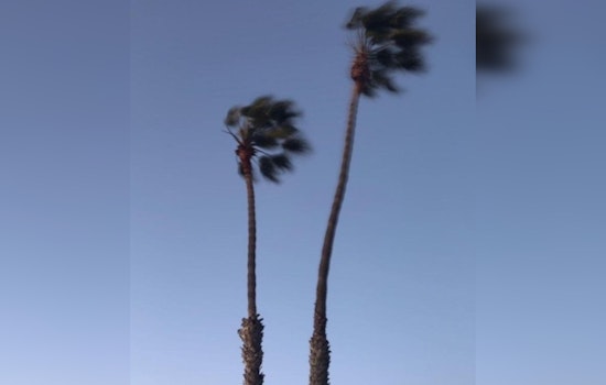 Wind Advisory Issued for Los Angeles Area with Gusts up to 50 MPH Expected Through Thursday Noon