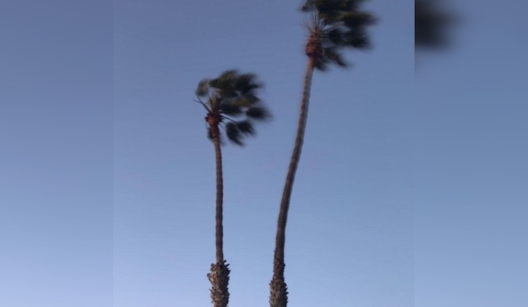 Wind Advisory Issued for Los Angeles Area with Gusts up to 50 MPH Expected Through Thursday Noon