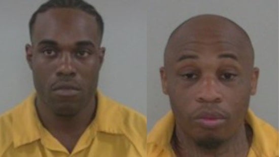 Two Arrested in Fort White for Possession of Stolen Vehicle, Weapons, Drugs, and Animal Neglect