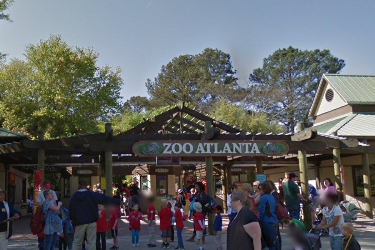 Zoo Atlanta To Close Saturday As City Braces For Arctic Temperatures 1.webp