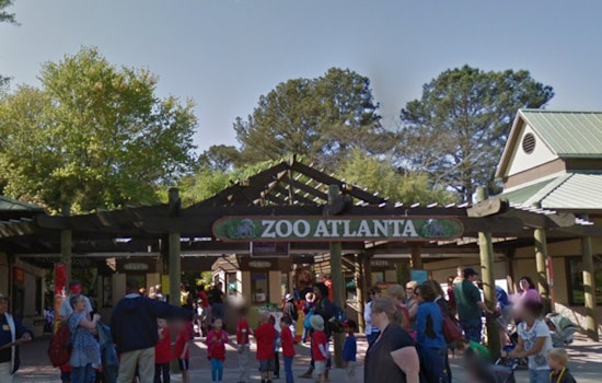 Zoo Atlanta Closes Today as the City Braces for Arctic Temperatures