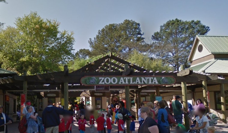 Zoo Atlanta Closes Today as the City Braces for Arctic Temperatures