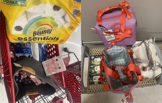 10 Arrested in Anti-Theft Sting by Santa Clara County Sheriff's Retail Theft Task Force at San José Target