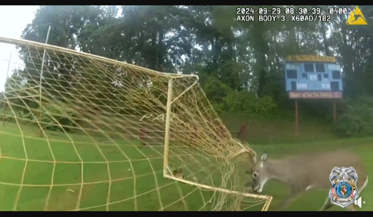 Annapolis Officer's Quick Thinking Saves Deer Caught in Soccer Net at Peninsula Park