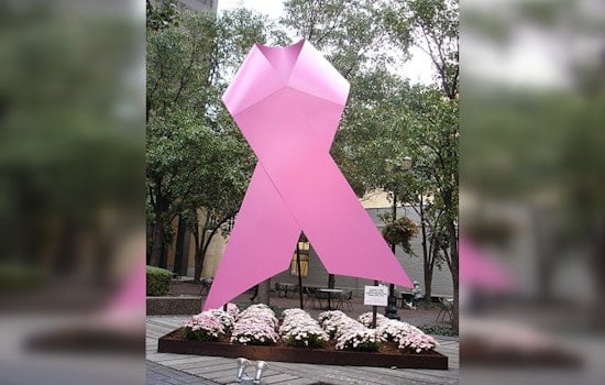 Arizona's Beloved "Thanksgiving Grandma" Wanda Dench Diagnosed with Stage 1 Breast Cancer