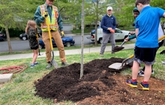 Arlington Schools Branch Out: 100 New Trees to Enrich Education and Environment