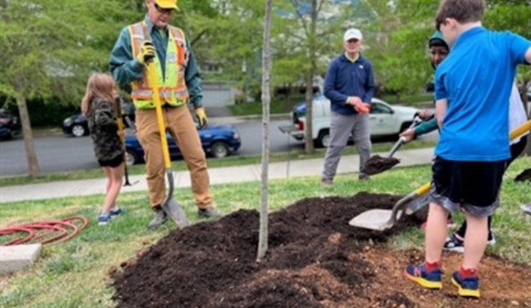Arlington Schools Branch Out: 100 New Trees to Enrich Education and Environment