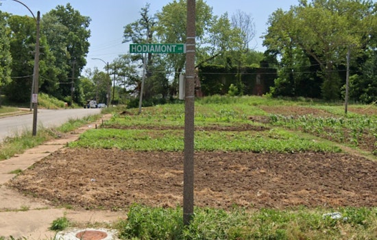 Armed Robbery in Hamilton Heights Leaves Residents on Edge, St. Louis Police Seek Information