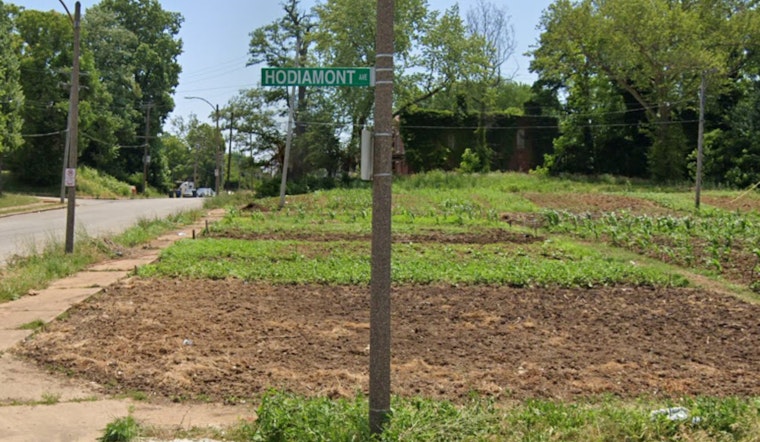 Armed Robbery in Hamilton Heights Leaves Residents on Edge, St. Louis Police Seek Information