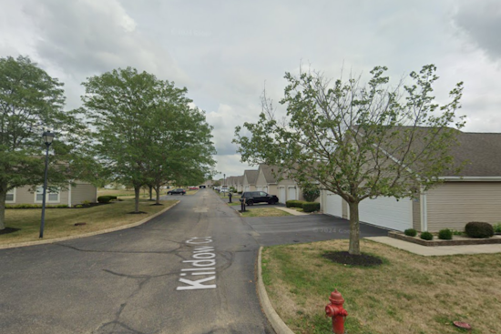 Ashville Community Shaken by Fatal Dog Attack on 73-Year-Old Gardener in Pickaway County