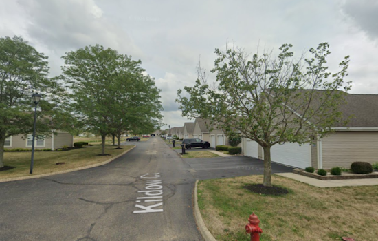 Ashville Community Shaken by Fatal Dog Attack on 73-Year-Old Gardener in Pickaway County