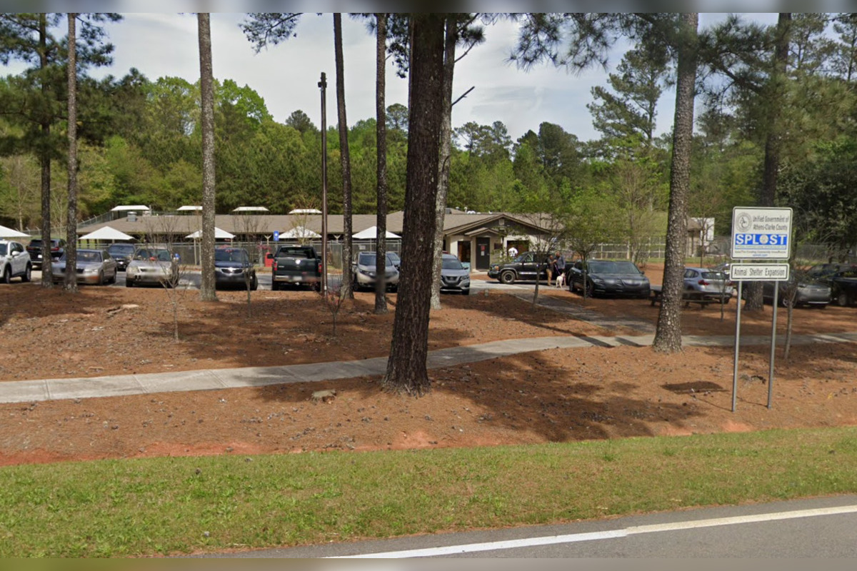 AthensClarke County Animal Services Campaigns for Pet Food Donations