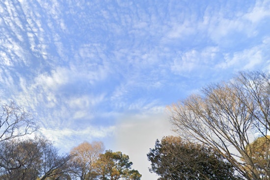 Atlanta Welcomes Week of Pleasant Weather with Highs in the 70s and 80s