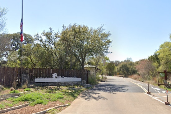 Austin's Lady Bird Johnson Wildflower Center Unveils 'Honeycomb Hideout' at Annual Fortlandia Exhibit