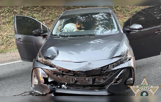 Bainbridge Island Man Hospitalized, Estranged Husband Arrested Following Shooting and Car Chase Near Kitsap County Fairgrounds