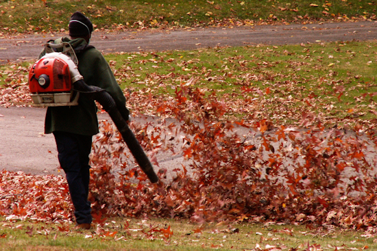 Baltimore Aligns with Environmental Efforts, Votes to Ban Gas-Powered Leaf Blowers by 2027