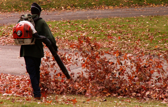 Baltimore Aligns with Environmental Efforts, Votes to Ban Gas-Powered Leaf Blowers by 2027