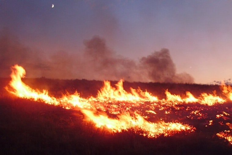 Baltimore-DC Area on Alert for Wildfire Risks Amid Dry, Windy Conditions