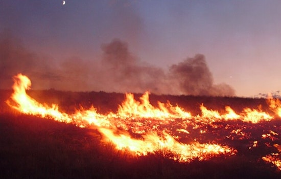 Baltimore-DC Area on Alert for Wildfire Risks Amid Dry, Windy Conditions