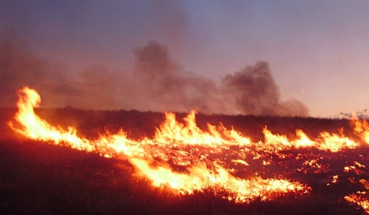 Baltimore-DC Area on Alert for Wildfire Risks Amid Dry, Windy Conditions