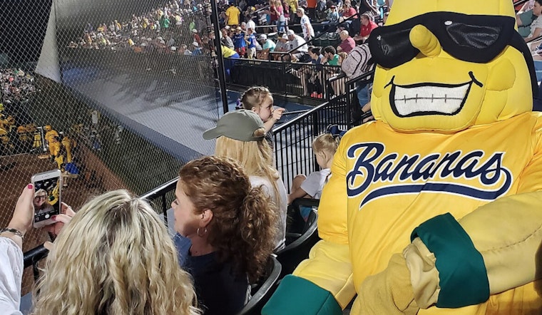 Baseball and Entertainment Collide as Savannah Bananas Bring Unique 'Banana Ball' Tour to West Michigan