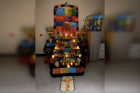 Bay Area's All Souls' Day Celebrations Alerted to Prohibited Plants Risk by CBP Laredo Field Office