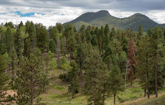 Beaver Ranch Park in Conifer Set for Upgrades: Locals Invited to Open House for Project Insights