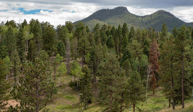 Beaver Ranch Park in Conifer Set for Upgrades: Locals Invited to Open House for Project Insights