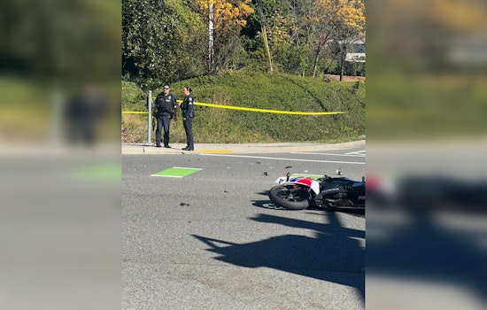 Bellevue Teen Arrested on Suspicion of DUI-Related Vehicular Homicide After Fatal Collision