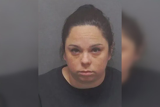 Bexar County Horror as Baby Killed by Pit Bulls, Babysitter Charged with Child Injury by Omission