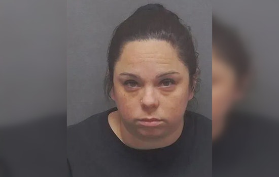 Bexar County Horror as Baby Killed by Pit Bulls, Babysitter Charged with Child Injury by Omission