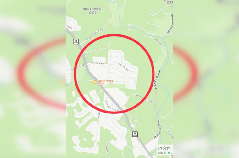 Bexar County Residents on High Alert Following Unconfirmed Large Cat Sighting Near Helotes