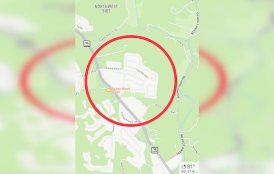 Bexar County Residents on High Alert Following Unconfirmed Large Cat Sighting Near Helotes