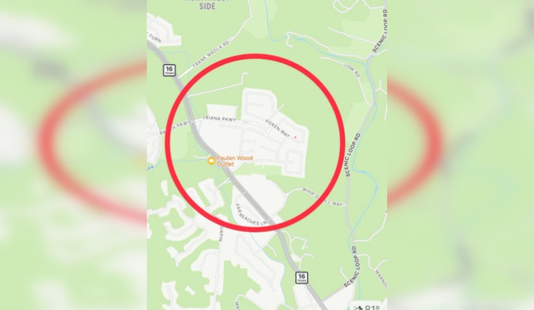 Bexar County Residents on High Alert Following Unconfirmed Large Cat Sighting Near Helotes
