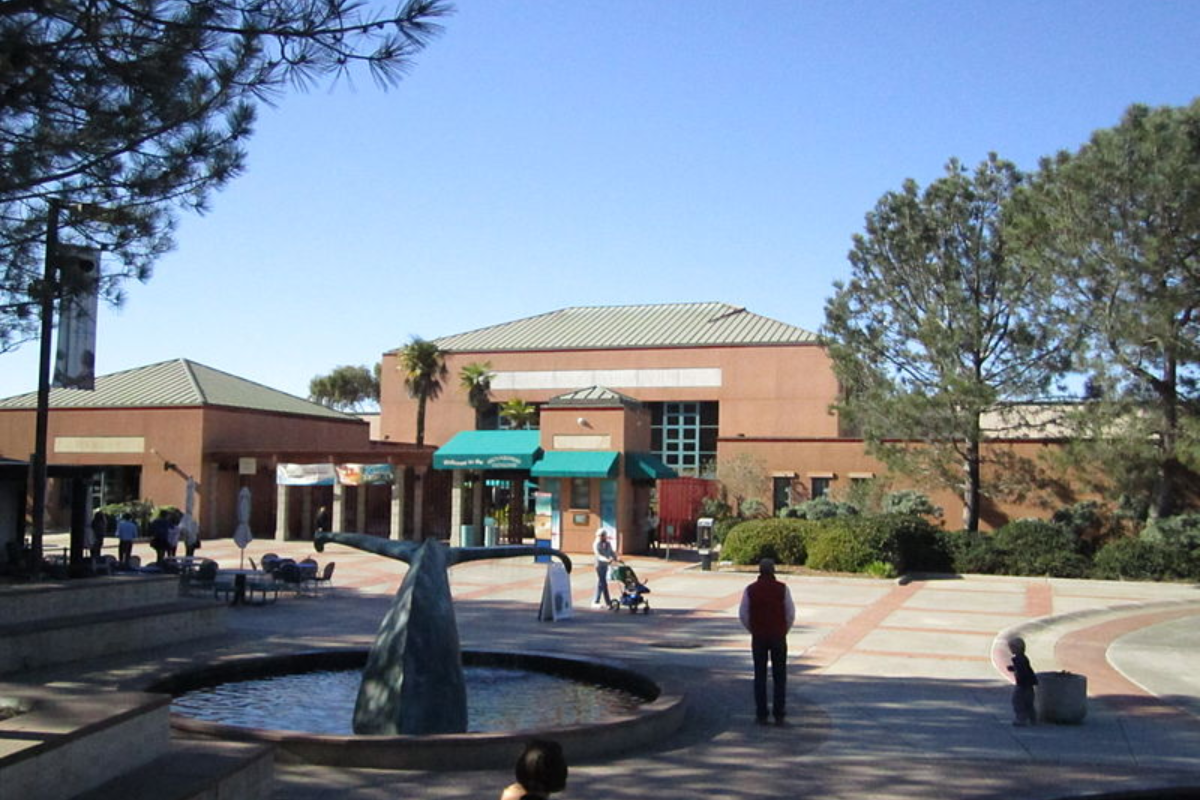 Birch Aquarium and Oceanside Museum of Art Launch Membership Swap for