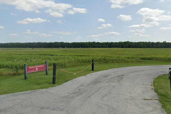 Body of Missing Country Club Hills Woman with Dementia Found in Cook County Preserve