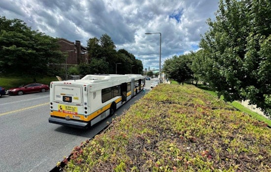 Boston Launches Largest U.S. Green Roof Initiative on Bus Shelters to Tackle Urban Heat Islands