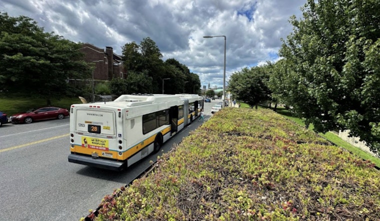 Boston Launches Largest U.S. Green Roof Initiative on Bus Shelters to Tackle Urban Heat Islands