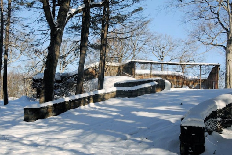 Boston Mayor Michelle Wu Advocates Revitalization of Historic Franklin Park Bear Dens