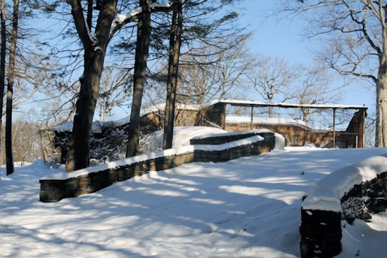 Boston Mayor Michelle Wu Advocates Revitalization of Historic Franklin Park Bear Dens