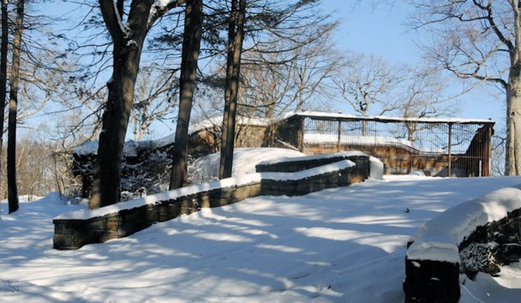 Boston Mayor Michelle Wu Advocates Revitalization of Historic Franklin Park Bear Dens