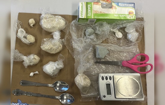 Boston Police Arrest Two Men from Hyde Park and Roxbury on Drug Trafficking Charges