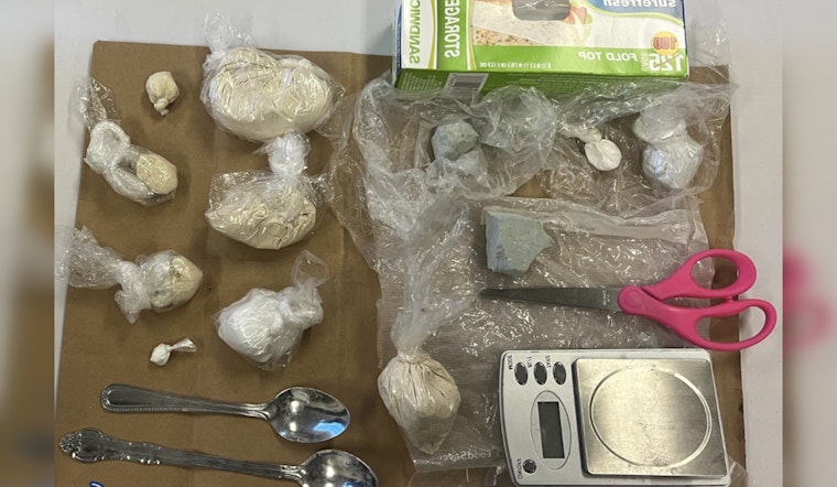 Boston Police Arrest Two Men from Hyde Park and Roxbury on Drug Trafficking Charges