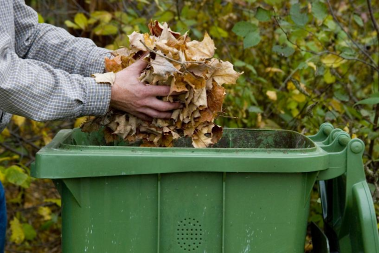 Boulder Advises on Eco-Friendly Leaf Disposal and Winterizing Irrigation Systems for Sustainable Lawn Care