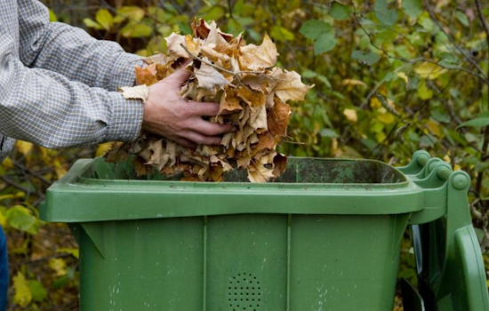 Boulder Advises on Eco-Friendly Leaf Disposal and Winterizing Irrigation Systems for Sustainable Lawn Care
