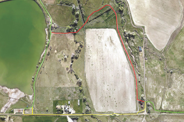 Boulder County Announces Cradleboard Trail Detour to Safeguard Bald Eagles at Carolyn Holmberg Preserve