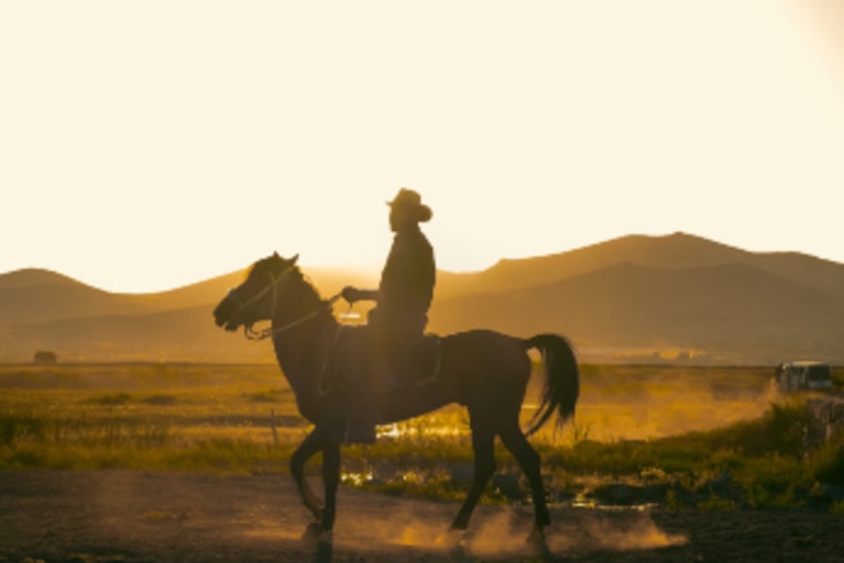 Brazilian Cowboy Sets Out from San Antonio on Epic Mule Trek to Brazil for Cultural Awareness