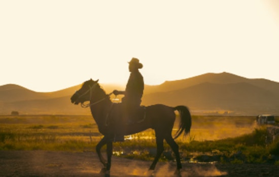 Brazilian Cowboy Sets Out from San Antonio on Epic Mule Trek to Brazil for Cultural Awareness
